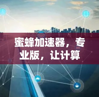 蜜蜂加速器，专业版，让计算机系统再上一层楼