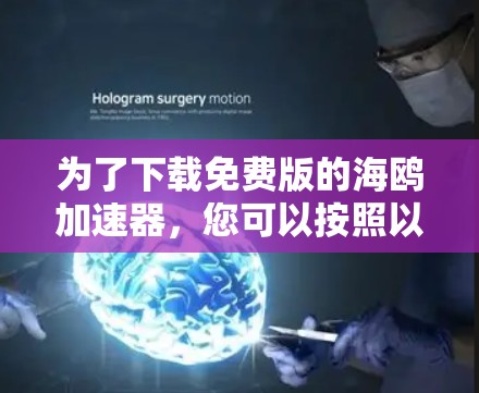 为了下载免费版的海鸥加速器,您可以按照以下步骤进行 为了下载免费版的海鸥加速器,您可以按照以下步骤进行