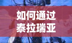 如何通过泰拉瑞亚VPN连接到服务器IP