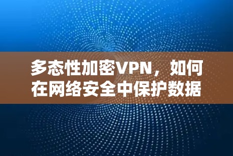 多态性加密VPN,如何在网络安全中保护数据与流量 多态性加密VPN,如何在网络安全中保护数据与流量