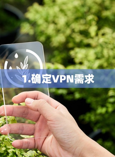 1.确定VPN需求